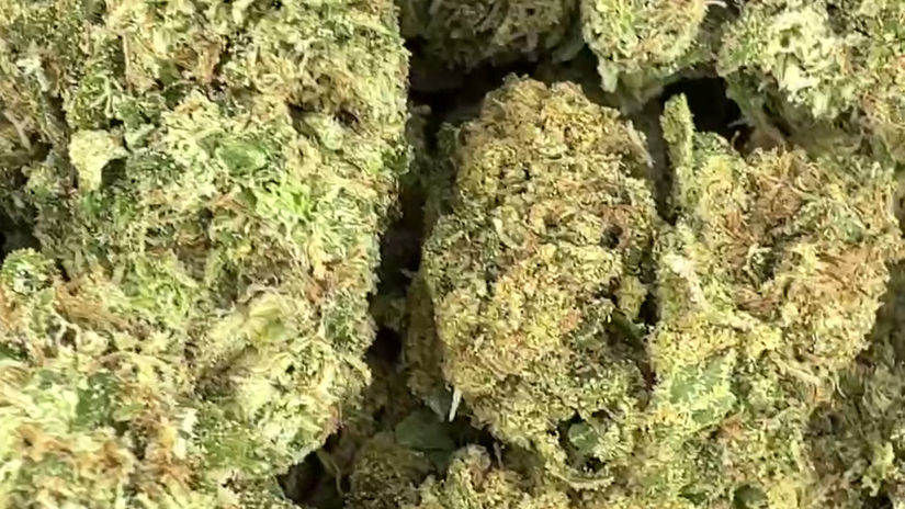 Blue Candy  AAA Indoor Exotic  Indica  29.73% THCa